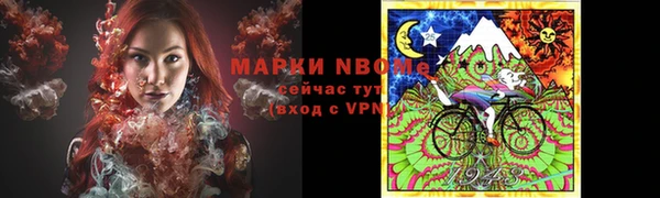 2c-b Бородино