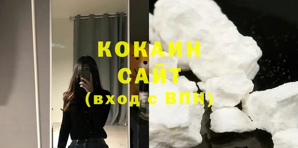 2c-b Бородино