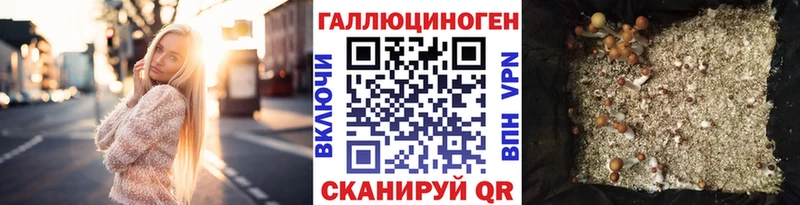 Галлюциногенные грибы MAGIC MUSHROOMS  Дигора 
