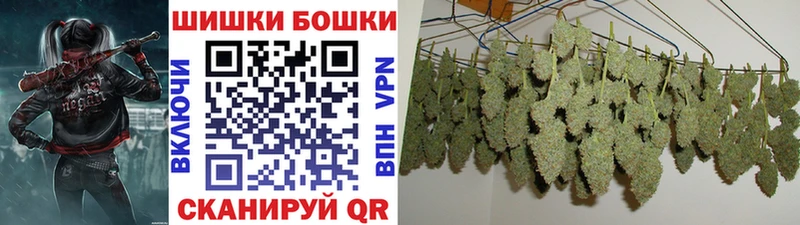Конопля THC 21%  где продают   кракен онион  Дигора 